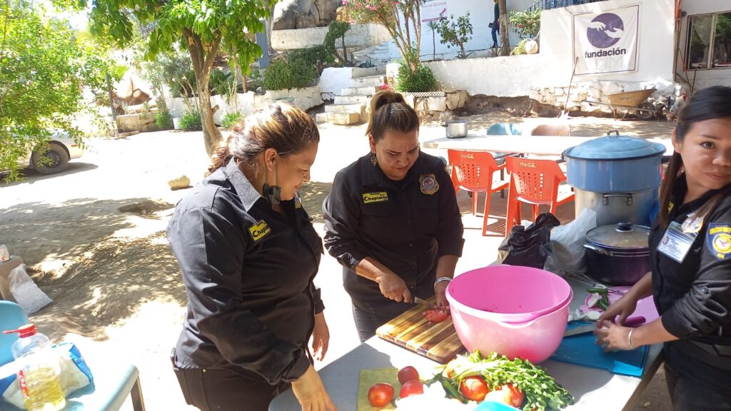 LABOR COMUNITARIA Y SOCIAL (73)